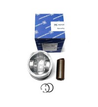 Piston kits 04255043